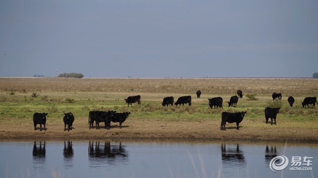 企鹅也爱吃牛肉？三菱帕杰罗阿根廷历险记