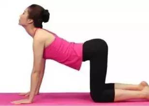 亲爱的要不要换个姿势看欧洲杯