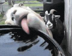 夏天如何正确喝水,夏天这样喝水才爽