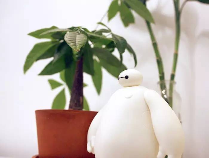 晒家两人两喵孙先生家,96平,混搭复式....