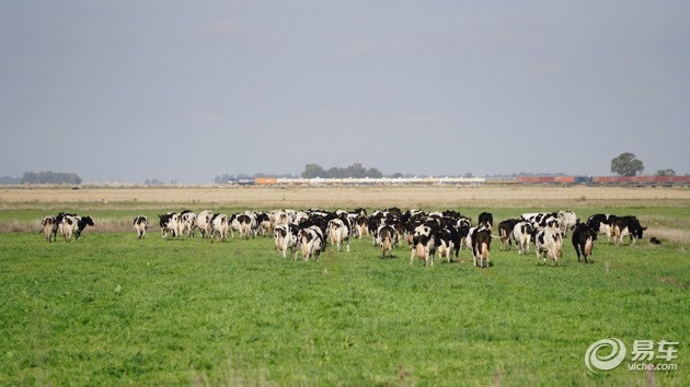 企鹅也爱吃牛肉？三菱帕杰罗阿根廷历险记