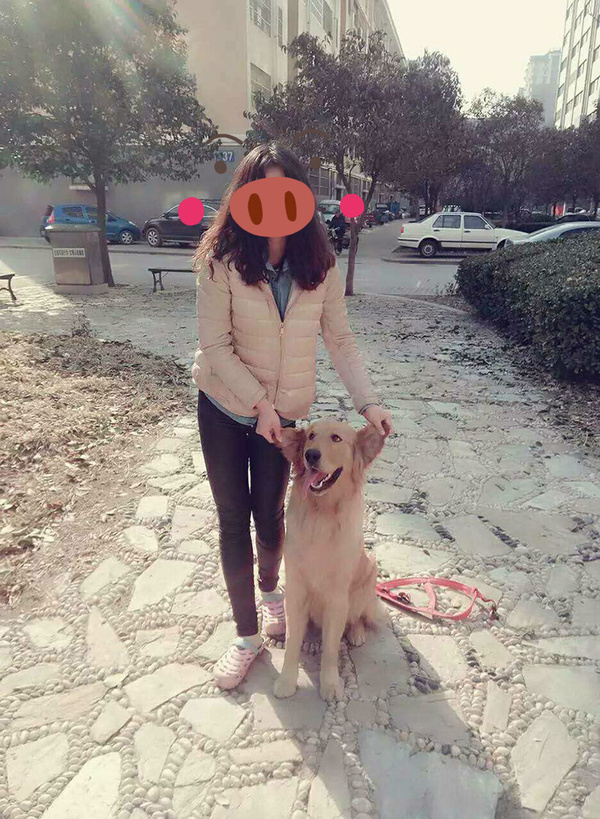 如果你能陪狗狗度过一生,你能不能这样?