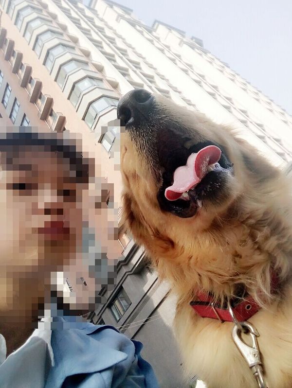 如果你能陪狗狗度过一生,你能不能这样?