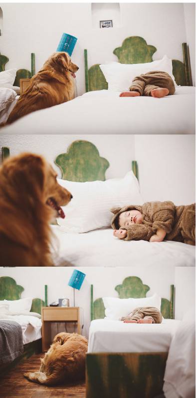 如果你能陪狗狗度过一生,你能不能这样?