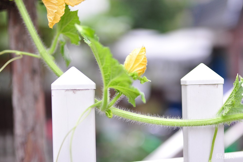 副厂镜头推荐,副厂镜头比原厂便宜吗