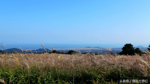 独自去济州岛攻略,独自一人去韩国旅游