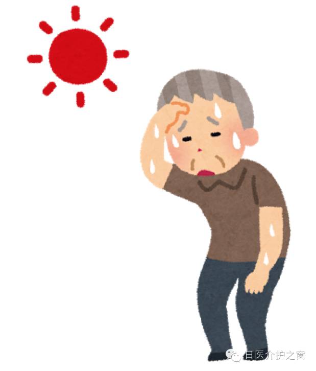 夏天如何预防金毛中暑,老人防中暑的最佳方法