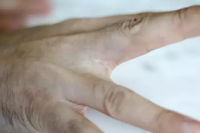 我心所向歌词,心之所向必将抵达