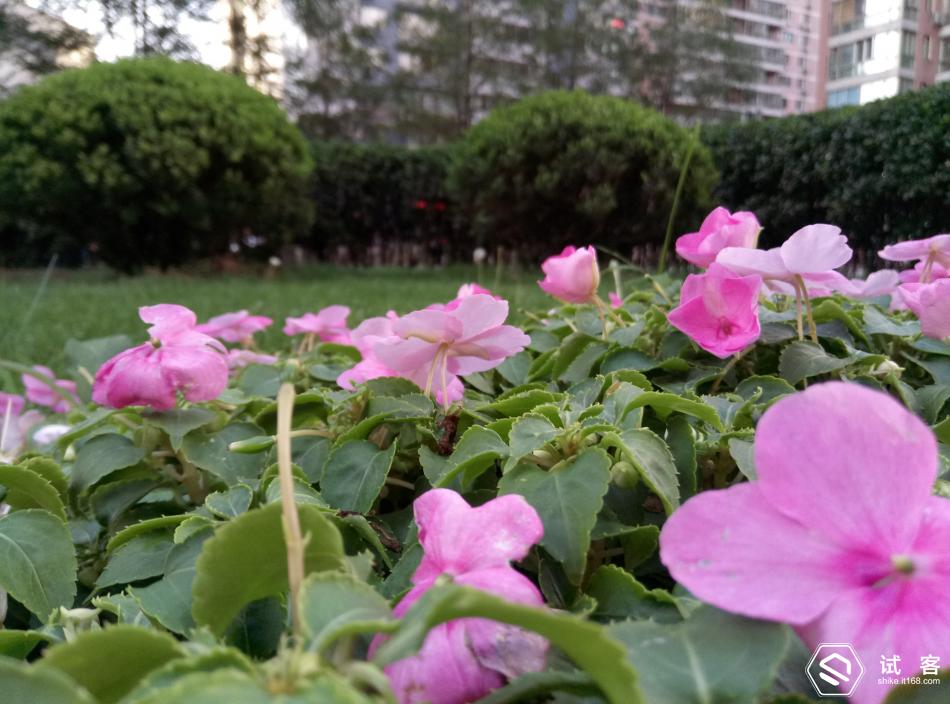 魅蓝3青年良品参数,魅蓝3s标准版评测