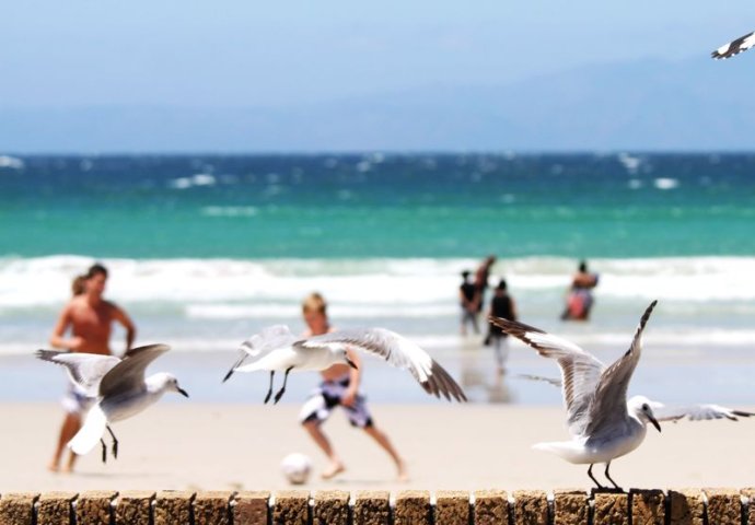 南非世界杯球场分布图,2010南非世界杯球场