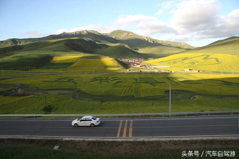 洛克之路卓尼段是从哪到哪,洛克之路路过卓尼县吗