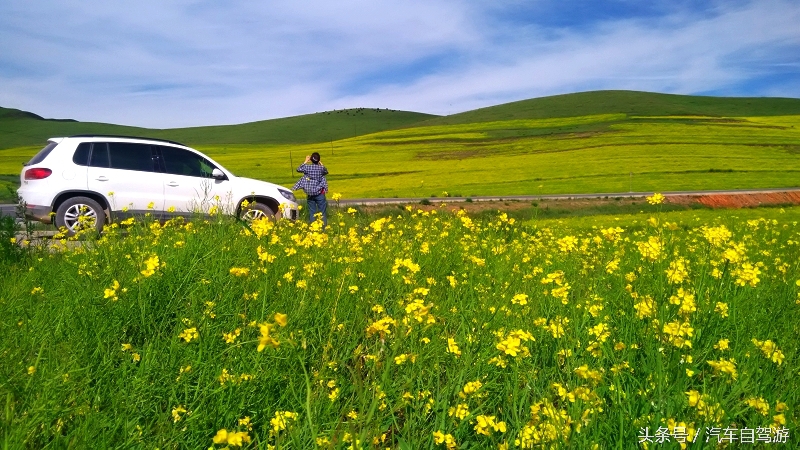 洛克之路卓尼段是从哪到哪,洛克之路路过卓尼县吗