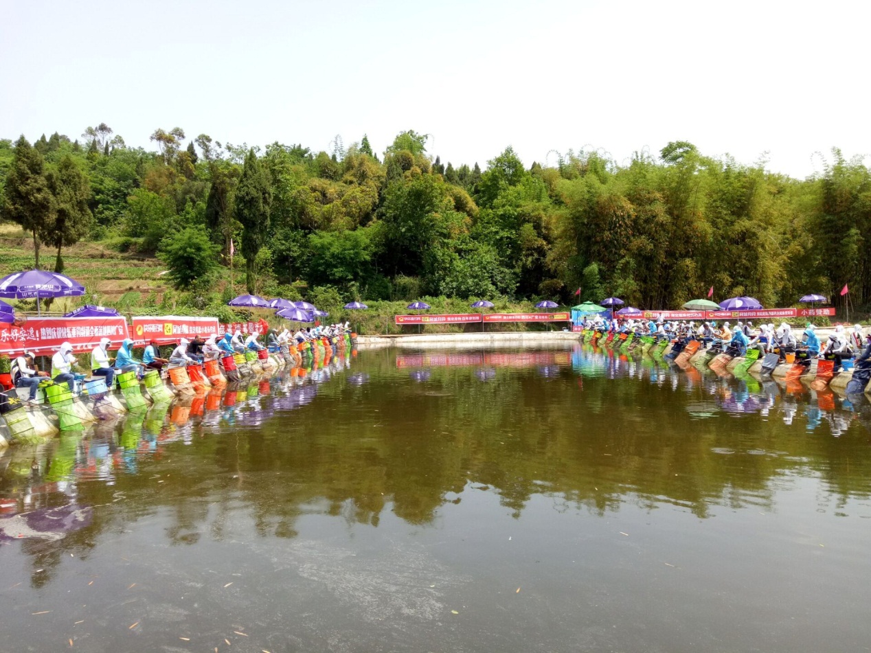 化氏新钓技,化氏钓鱼最好的钓法