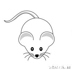 羊狗虎今日财运运势,8月2日虎生肖运势