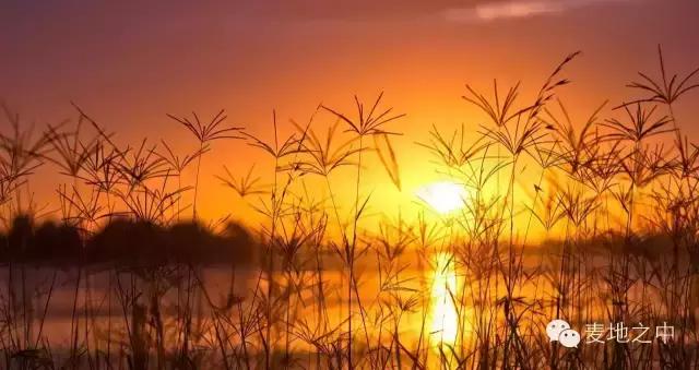 海子的诗面朝大海春暖花开文案,海子面朝大海春暖花开朗诵配乐