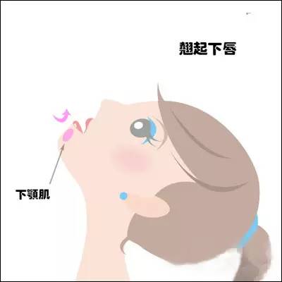 如何减掉双下巴视频,如何减掉双下巴和小肚子