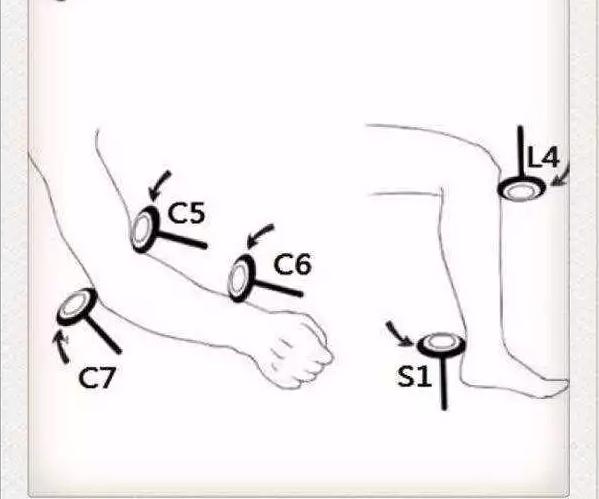 医生看颈椎病的图片,颈椎胸椎腰椎尾椎图解全图