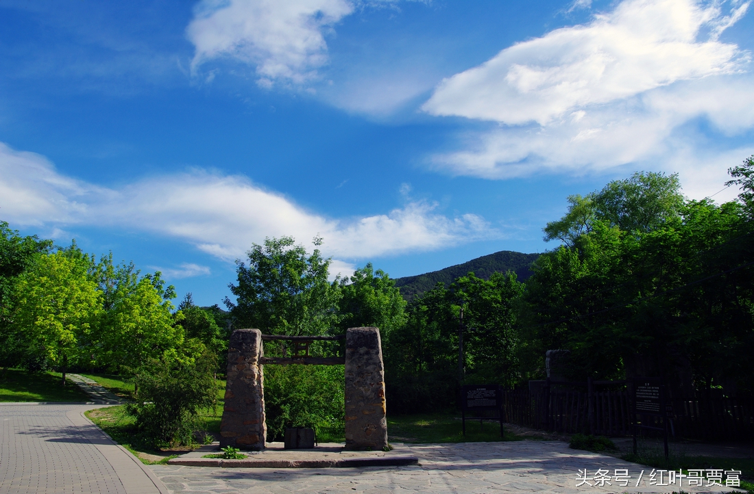 从零开始学习摄影构图,从零开始学摄影拍照技巧