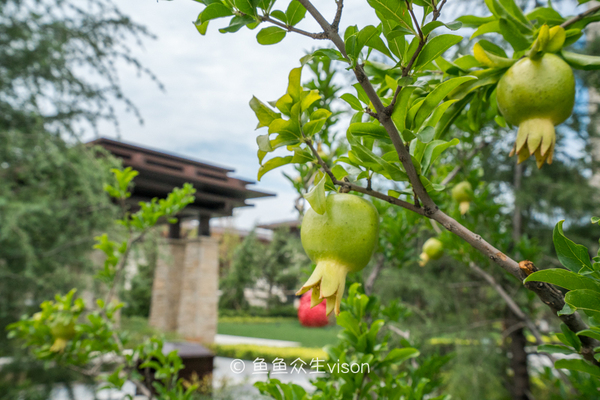 来到十三朝古都,来到十三朝古都西安