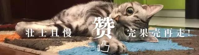 研究作假?面向质疑,韩春雨应该怎么做?