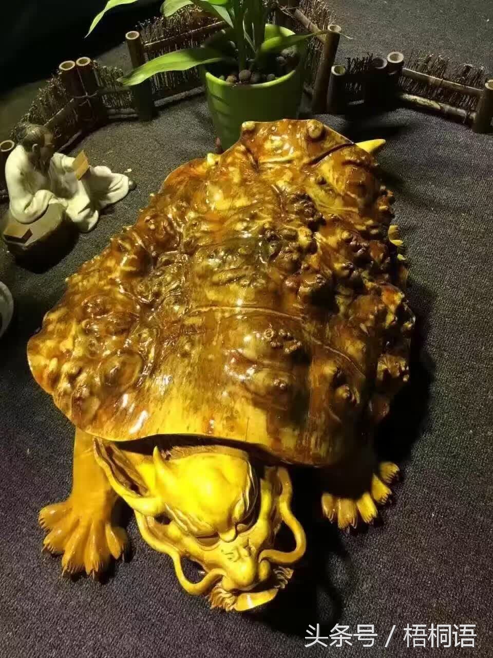 右眼皮一直跳科学依据,右眼皮连续跳两年了