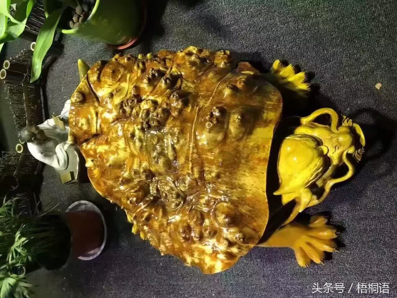 右眼皮一直跳科学依据,右眼皮连续跳两年了