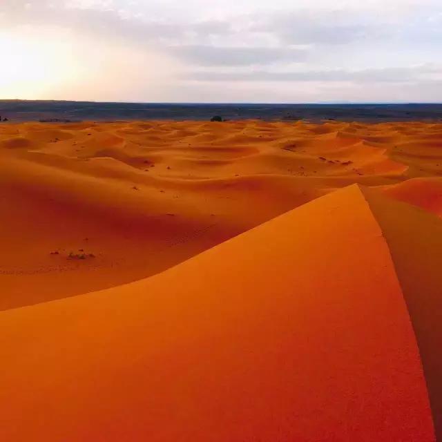 三毛撒哈拉的经典语录,三毛撒哈拉经典语录