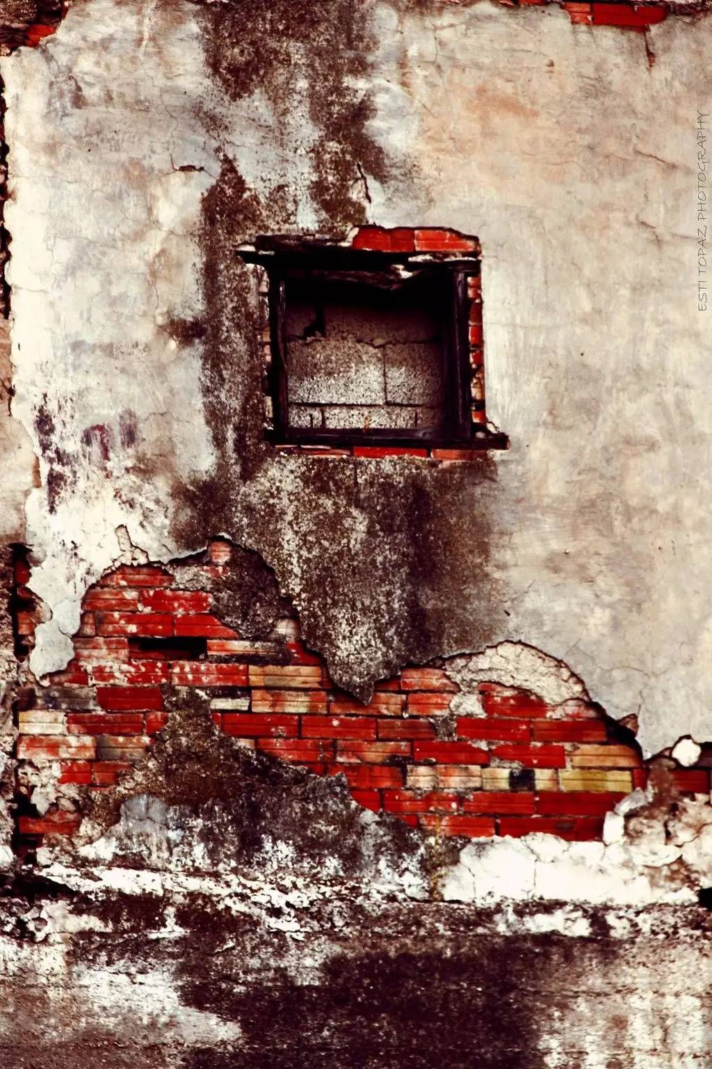 立秋系列|隔壁老王