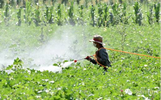 无人机打农药60公斤多少钱,无人机打农药800元