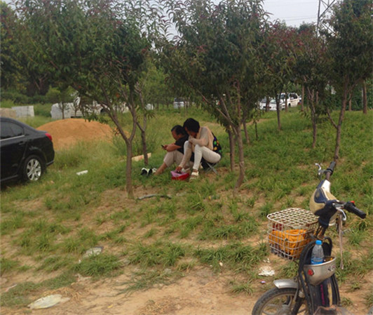 火眼金睛去淘宝--二手车市场