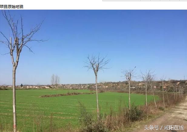 咸阳姜嫄水乡简介,咸阳武功镇姜嫄水乡图片