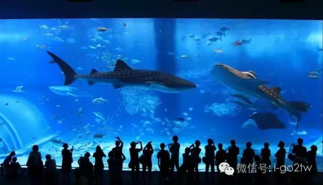 雨天旅游又是另外一种乐趣,旅游遇到下雨天也要潇洒