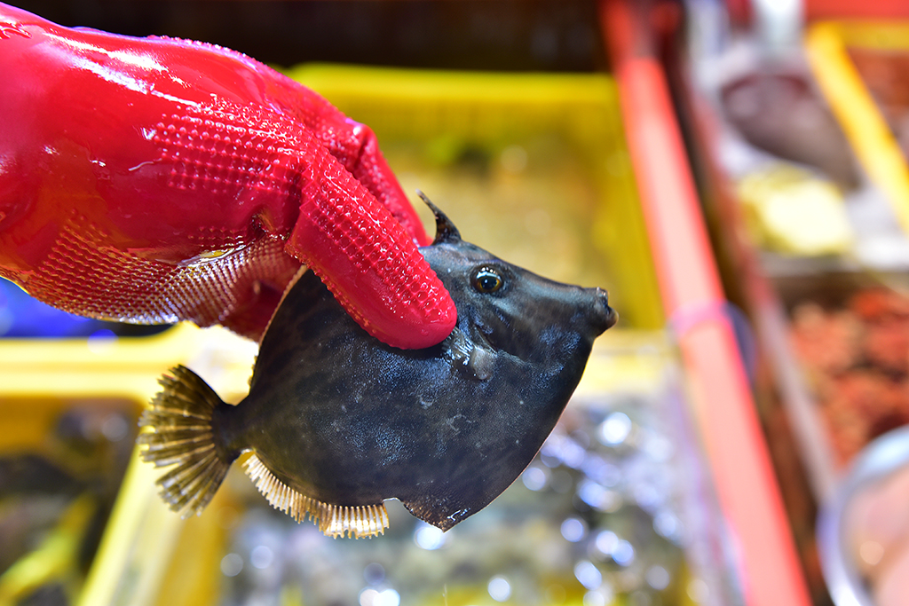 在淘宝上能买到正品的韩国货吗,在韩国电商卖什么畅销