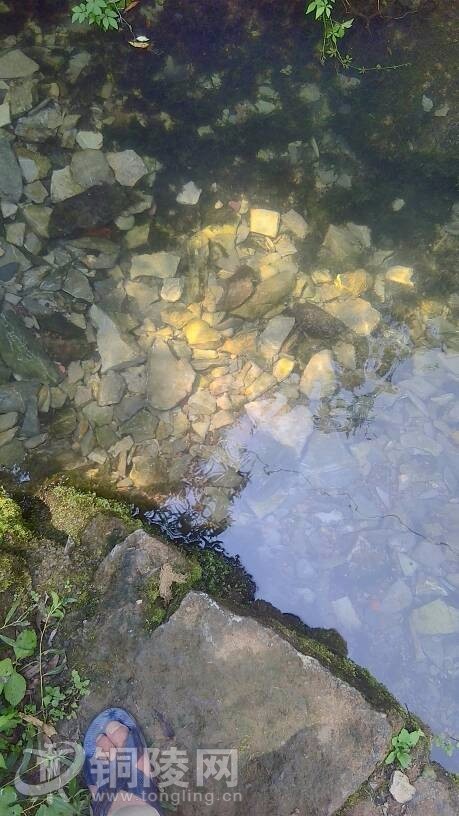 这么热的天大家都去哪玩,这么热的天大家都在干什么