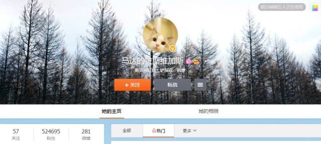 自媒体大事件,网红大v的猫狗