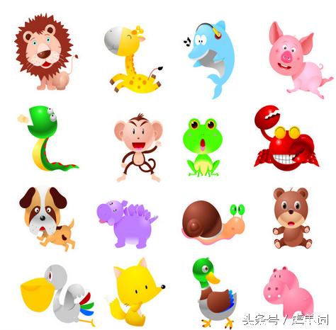 100个动物常用单词,所有的动物单词总结