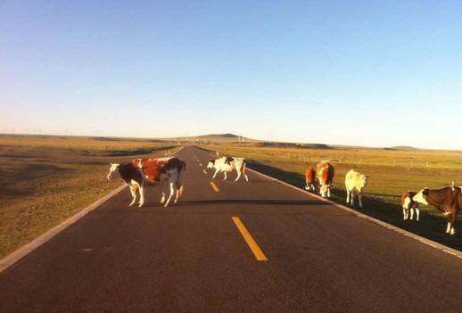一言不合就装逼怎么办?