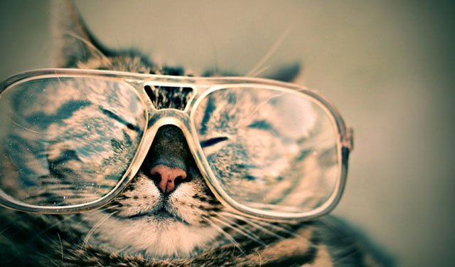 有一双电眼撩汉事半功倍