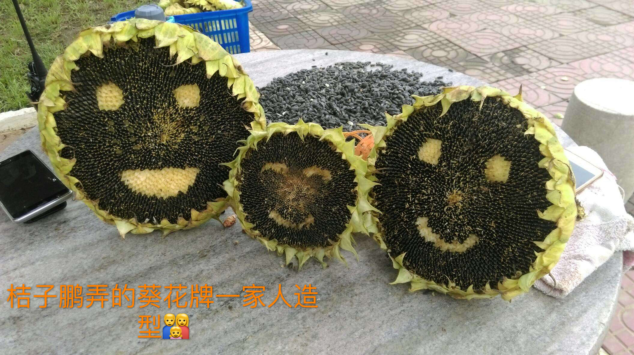 当军恋遇上“猴年马月”