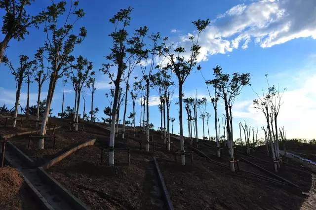 别了，老校区！感谢你陪伴了很多人的青春！