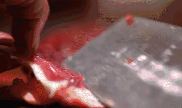 一帮吃货,一群吃货在一起会发生什么