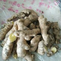 赘肉太顽固？秘方火:每天吃几勺3月减掉36斤，双下巴消失！