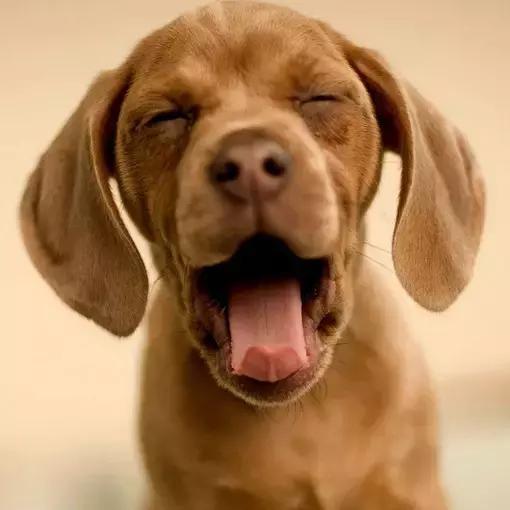 瘦腿最有效的动作萝卜腿,萝卜腿瘦腿矫正神器