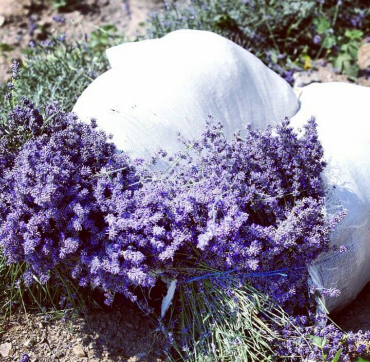 日韩高颜值化妆品,日韩高档化妆品品牌