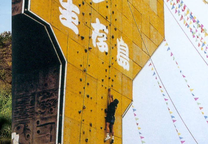 自驾游搬砖去哪里好玩,生存岛游玩攻略美食