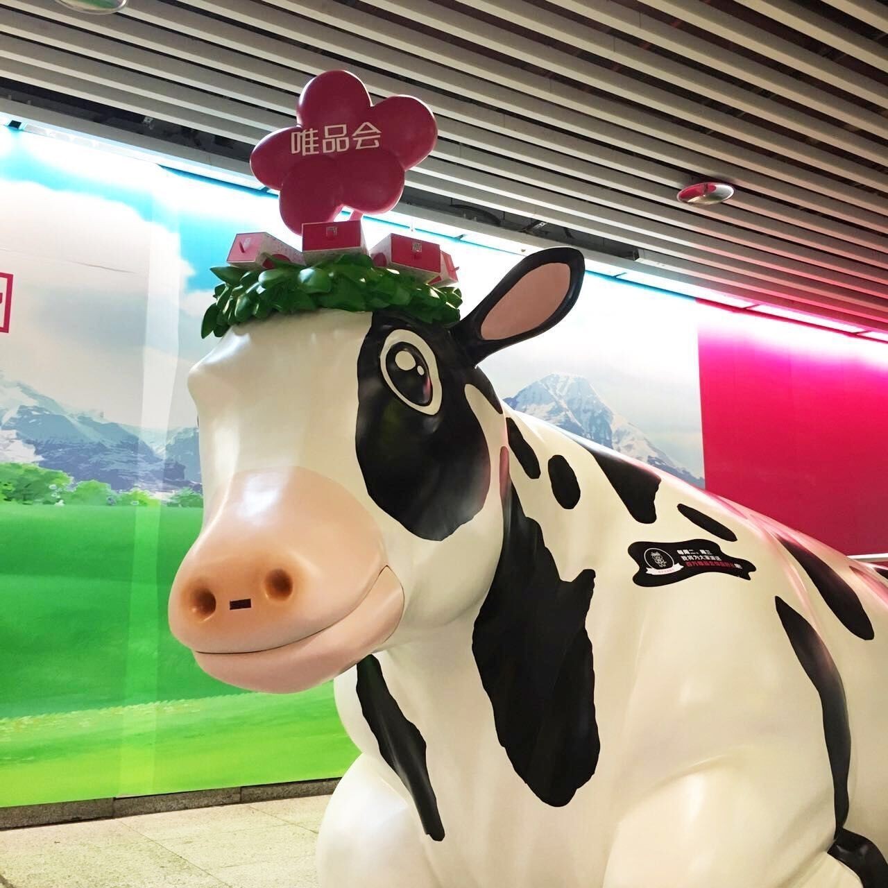 不要只看别人的朋友圈,一辈子必去的10个国家