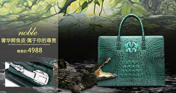 怪才小龙陈星,怪才小龙的歌