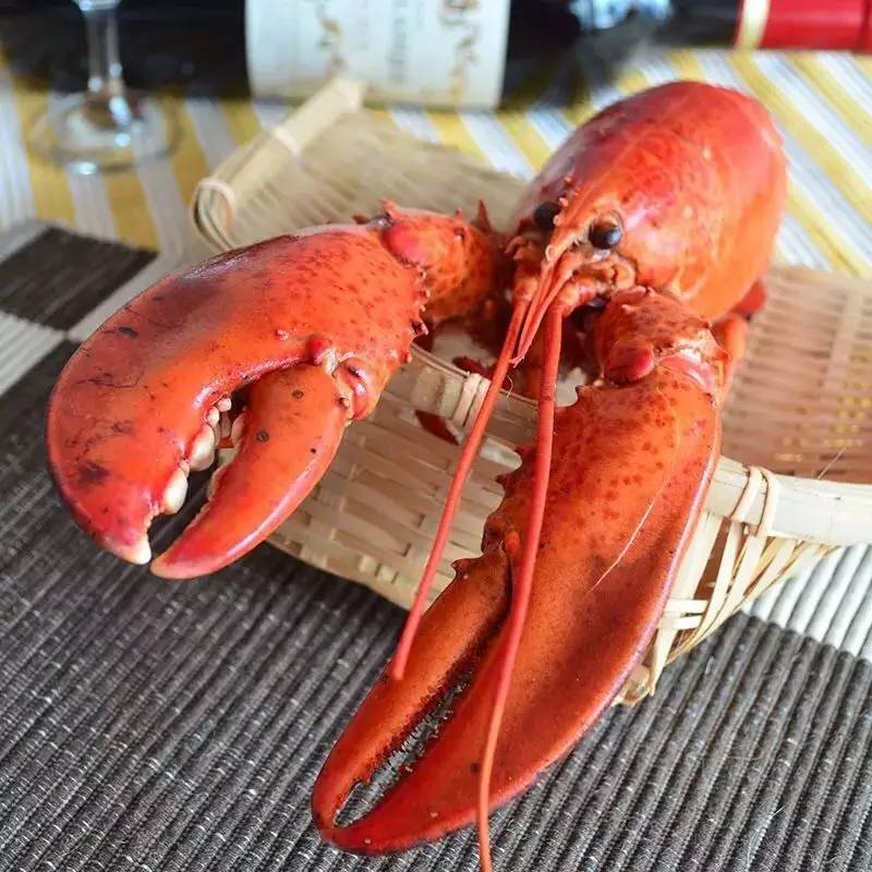 *情催**魔鬼七夕礼盒！法国海归米其林大厨撸袖手作