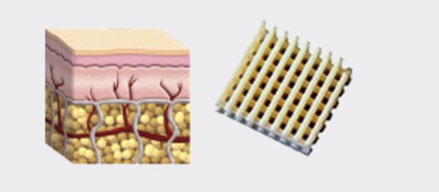 涉及3d打印机的行业,最重视中国市场的公司