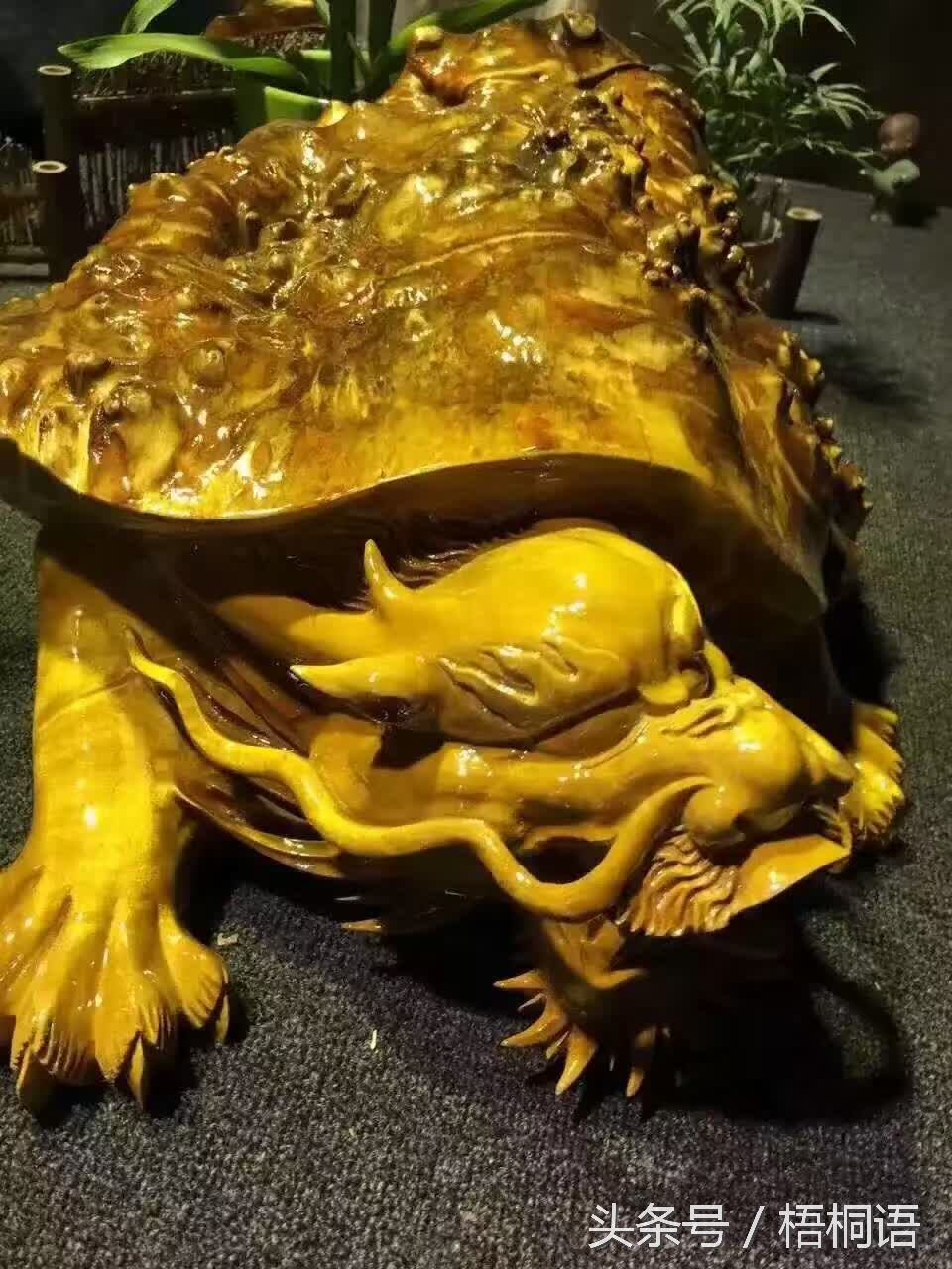 右眼皮一直跳科学依据,右眼皮连续跳两年了